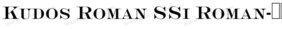 Kudos Roman SSi Roman字体转换